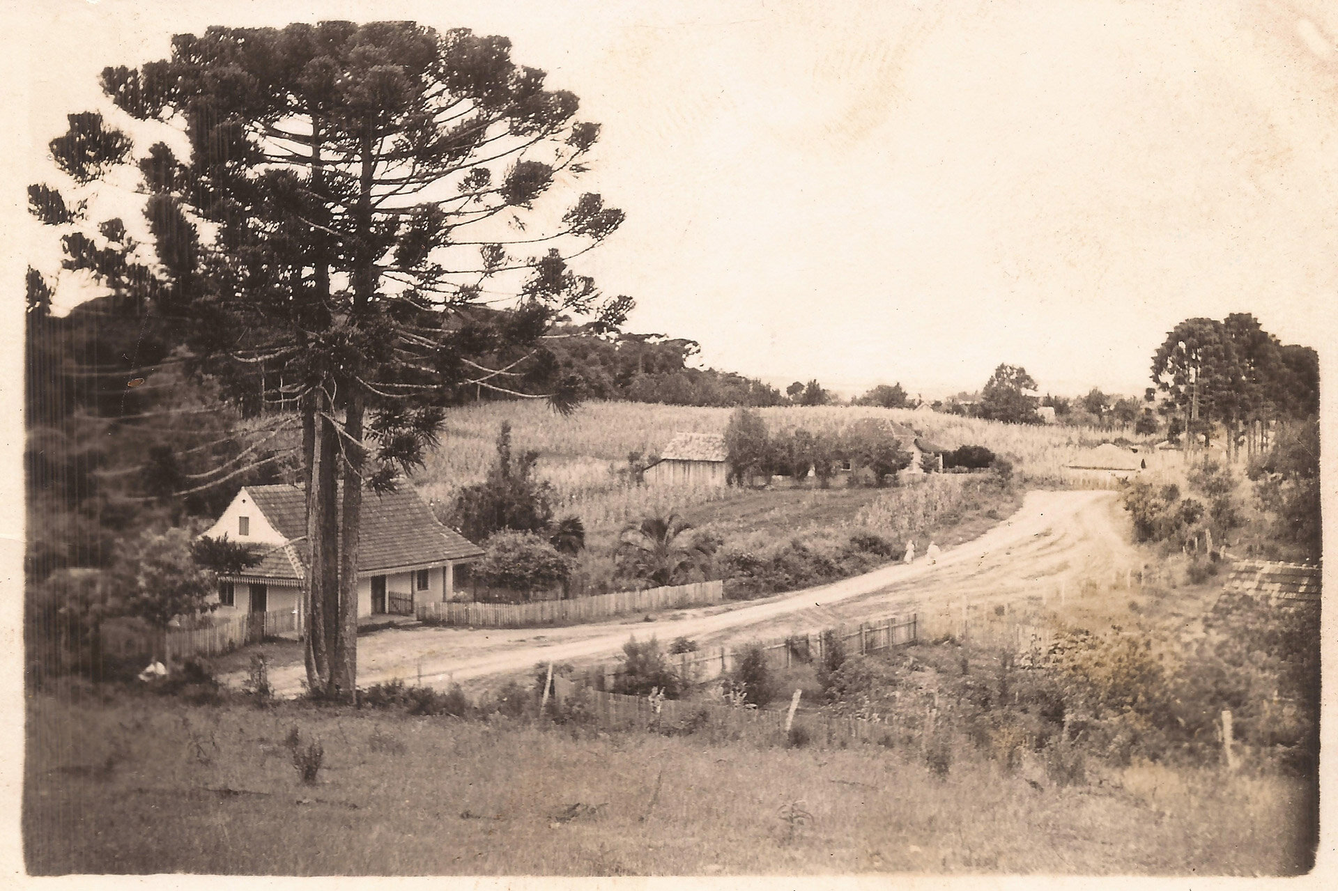 Rua Theodoro Makiolka - Década de 1960